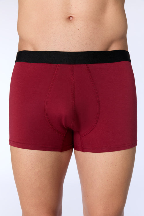2121-079 | Men Trunkshorts - Tibetan Red