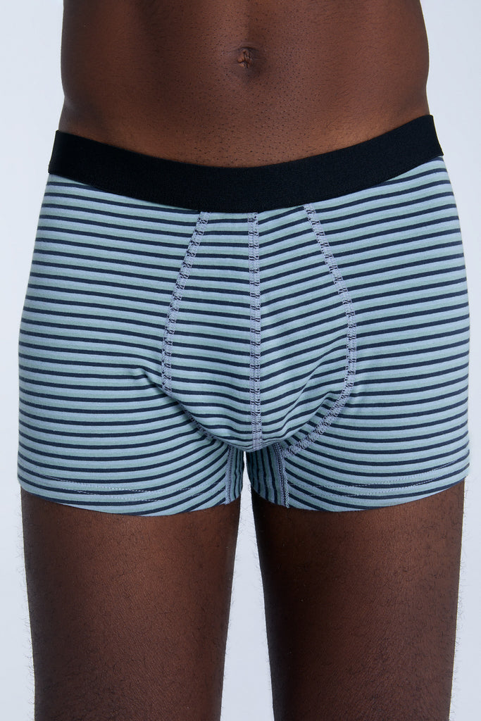 2121-083 | Men Trunkshorts - Agave/Navy/Gray-Blue Striped
