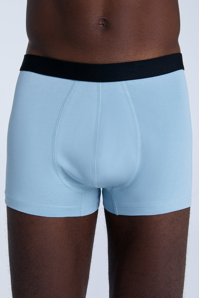 2121-085 | Men Trunkshorts - Gray-Blue