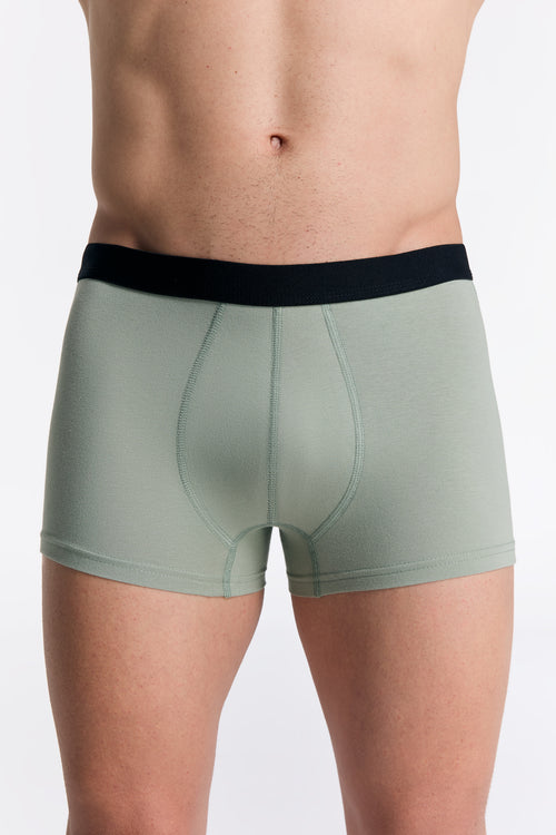 2121-109 | Herren Trunkshorts - Eisberggrün