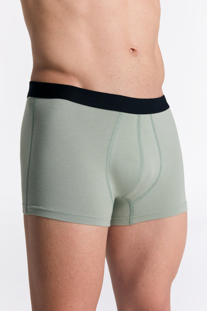 2121-109 | Herren Trunkshorts - Eisberggrün