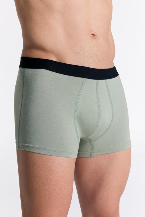 2121-109 | Herren Trunkshorts - Eisberggrün