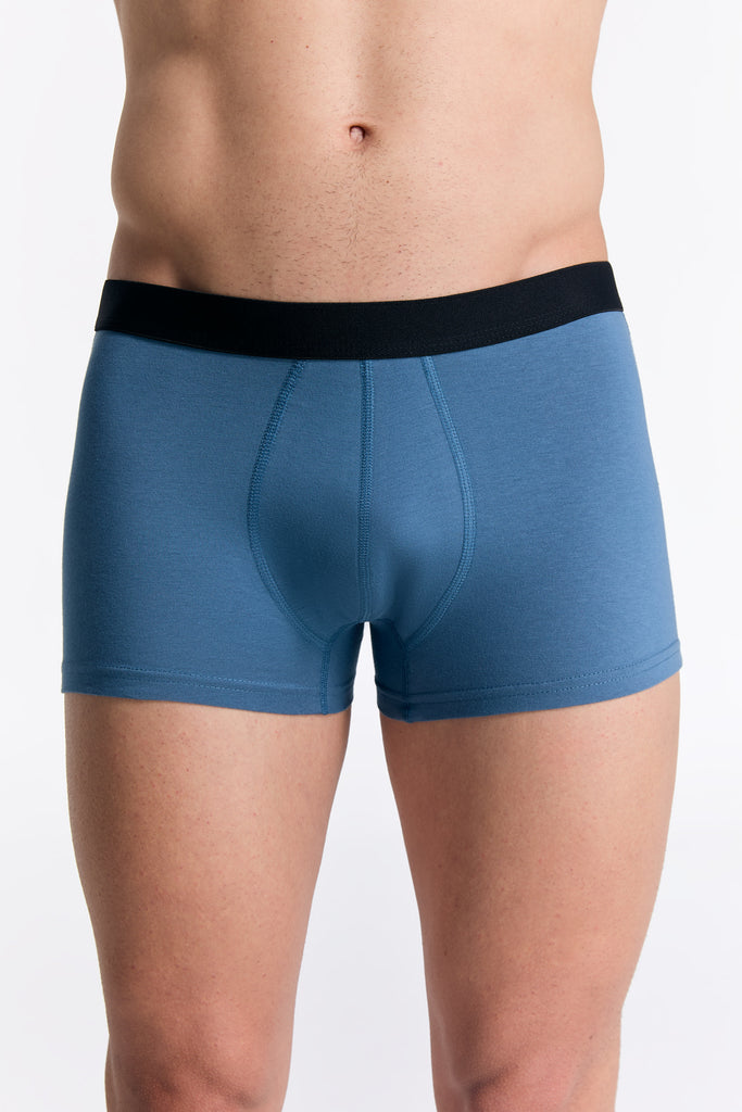 2121-123 | Herren Trunkshorts - Alpengrau