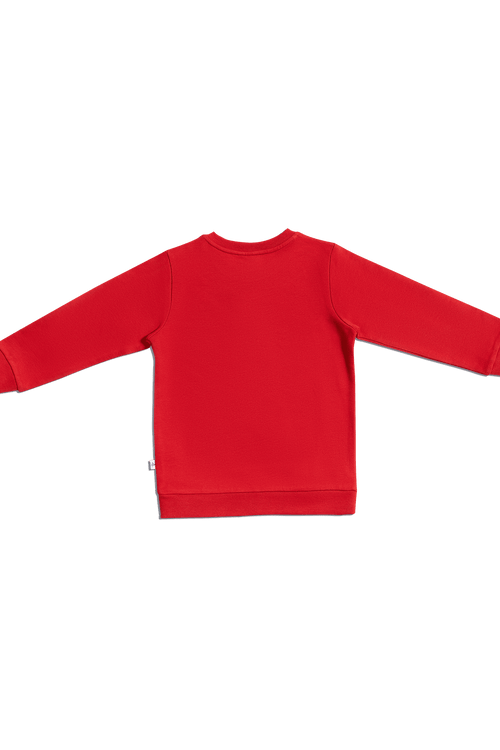 2025ZR | Baby Sweatshirt - Brick-Red